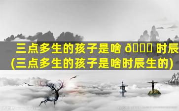三点多生的孩子是啥 🐘 时辰(三点多生的孩子是啥时辰生的)